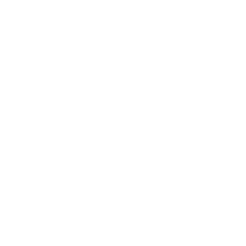 LilyCo Designs 